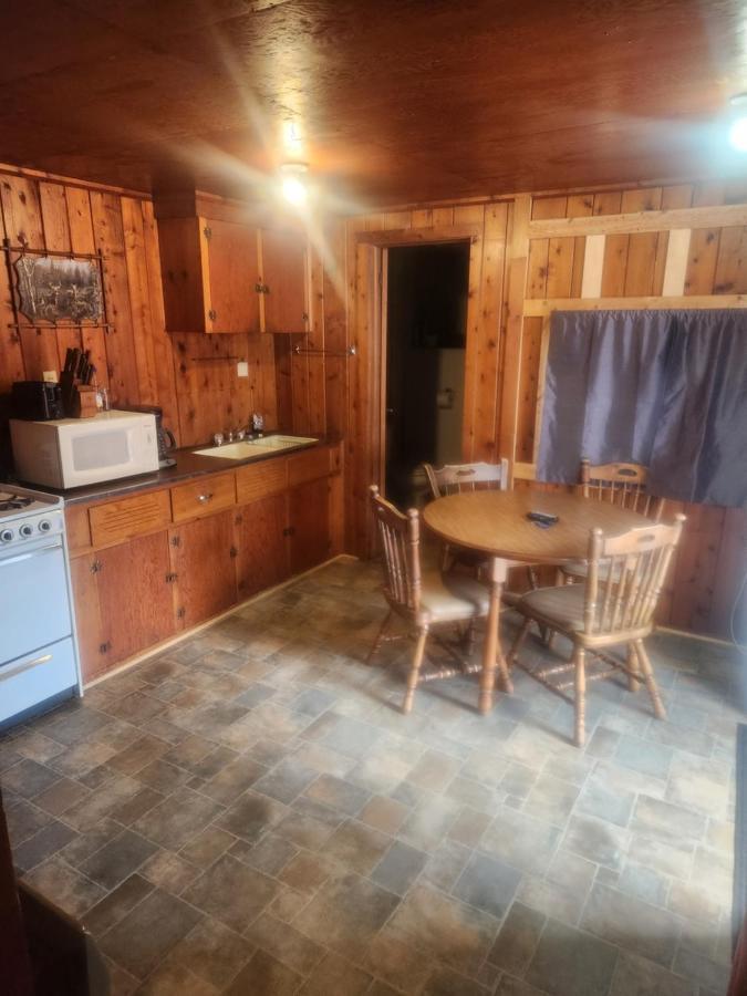 Cabin 2 Manistique Exterior photo
